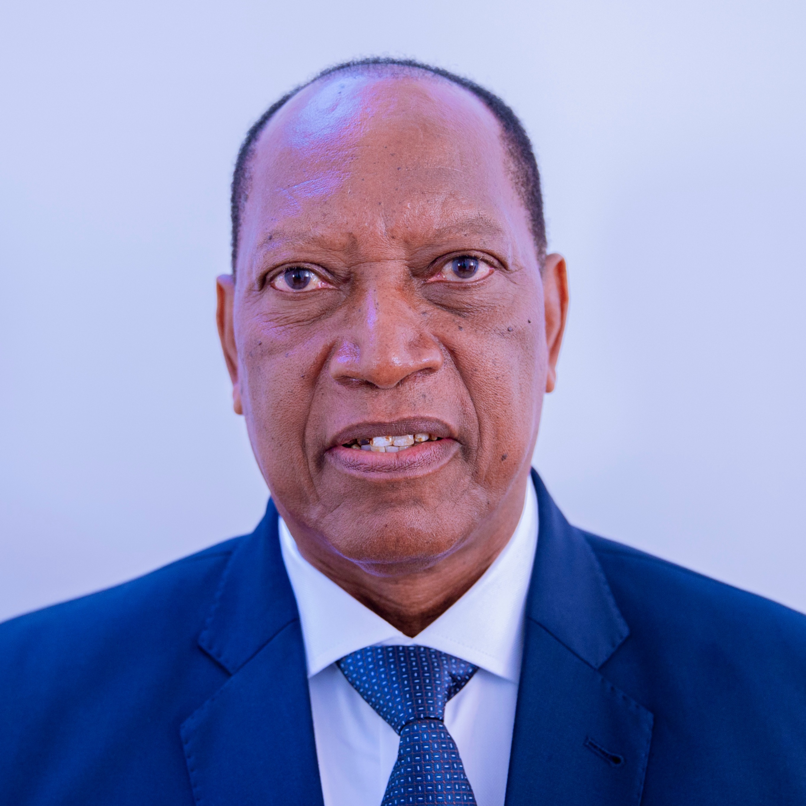 Mhe. Prof. Palamagamba J.A Kabudi	