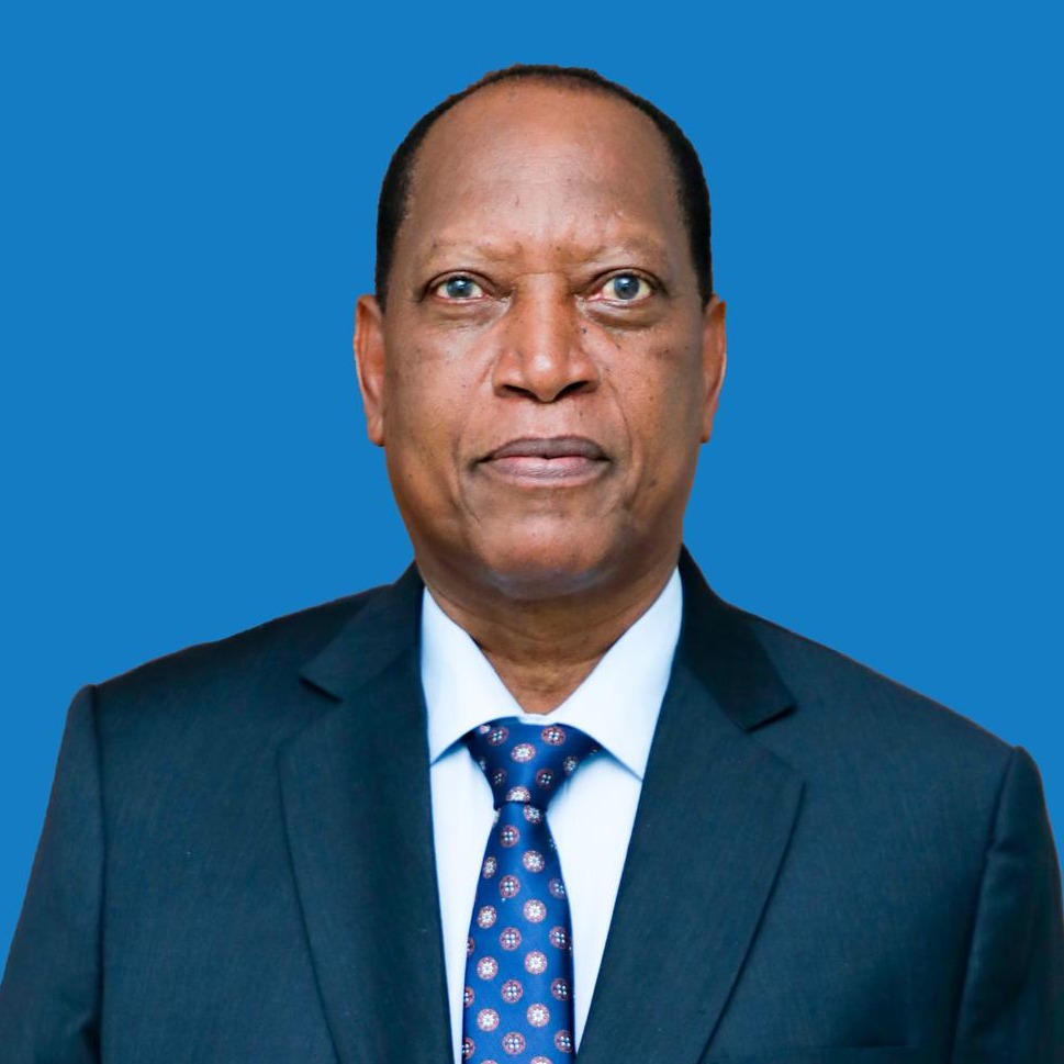 Mhe. Prof. Palamagamba J.A Kabudi	